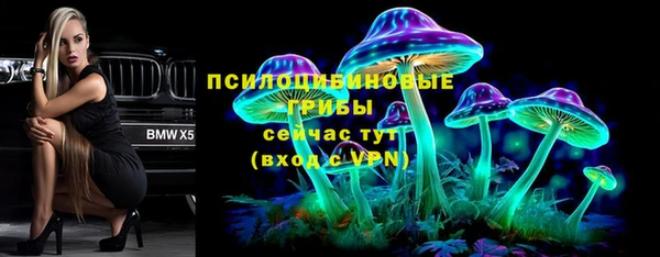 ПСИЛОЦИБИНОВЫЕ ГРИБЫ Алексеевка