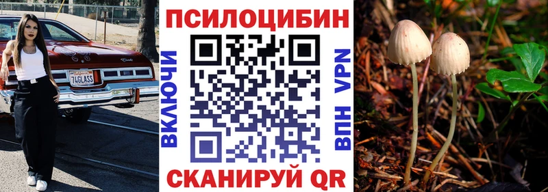 Купить где  Сычёвка  Псилоцибиновые грибы Cubensis 