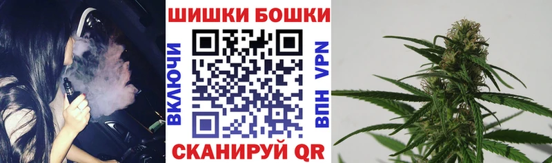 Бошки Шишки SATIVA & INDICA Купить закладки Сычёвка